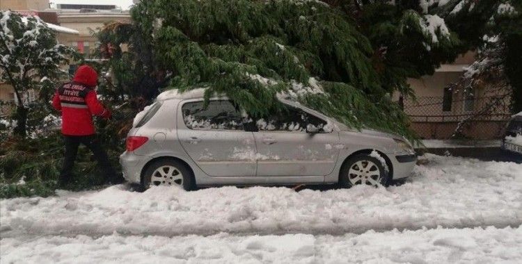 Zonguldak'ta yoğun kar yağışından devrilen ağaçlar 20 otomobile zarar verdi