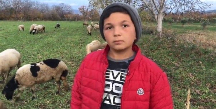 Küçük çoban videolarındaki diyalogları ile sosyal medyanın yeni fenomeni oldu