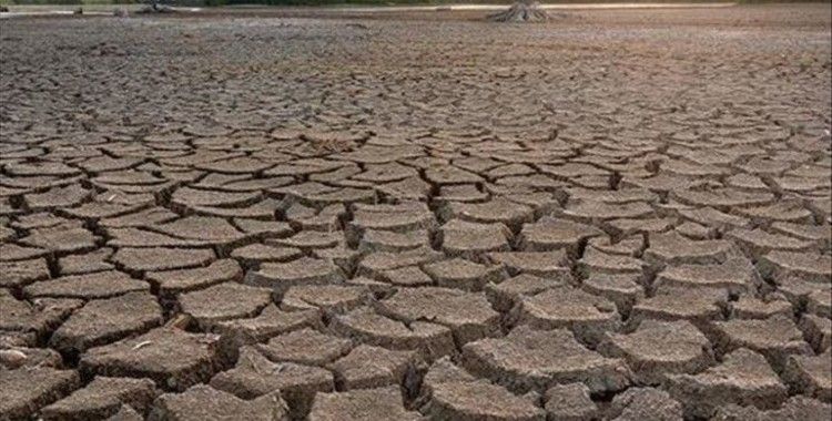 WWF'den Türkiye'ye kuraklık uyarısı: Kritik seviye geçildi