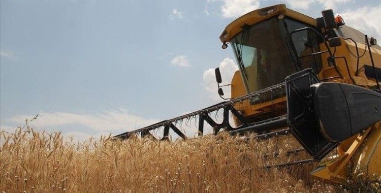 TMO yeni sezona kadar ekmeklik buğday stokunun yeterli olduğunu açıkladı