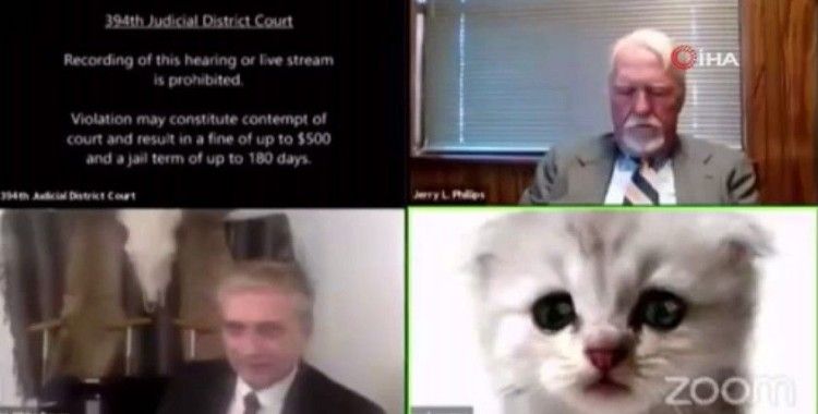 ABD’de online duruşmada filtre kazası