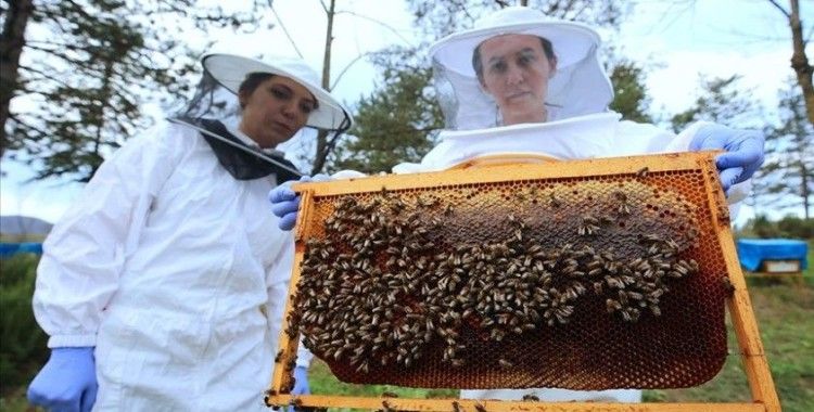Arıcılık uzmanından iklim değişikliğinde arıları koruma önerileri