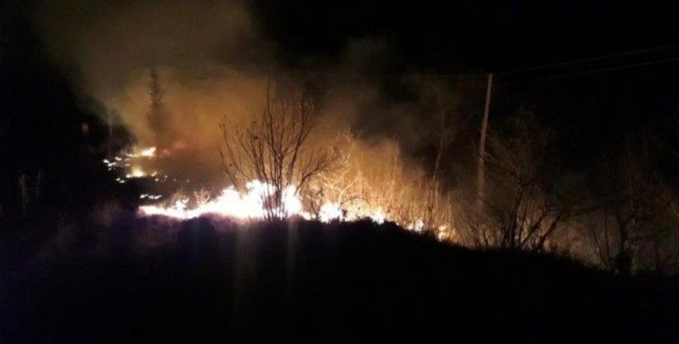 Tokat'taki örtü yangınında 2 hektarlık alan zarar gördü
