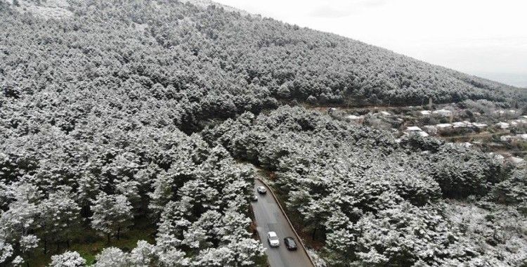 Kar yağışı sonrası Aydos Ormanı’nda kartpostallık görüntüler oluştu