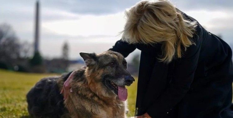 Koronavirüse ve kışa teslim olan ABD'de gündem Biden'ın köpeği