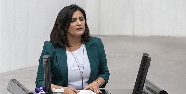 Teslim olan teröristler ifadelerinde HDP Milletvekili Taşdemir'in Gara'ya gittiğini anlattı