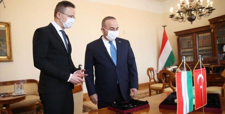 Çavuşoğlu, Macaristan'da yakalanan 412 tarihi eseri Türkiye'ye getirmek üzere teslim aldı