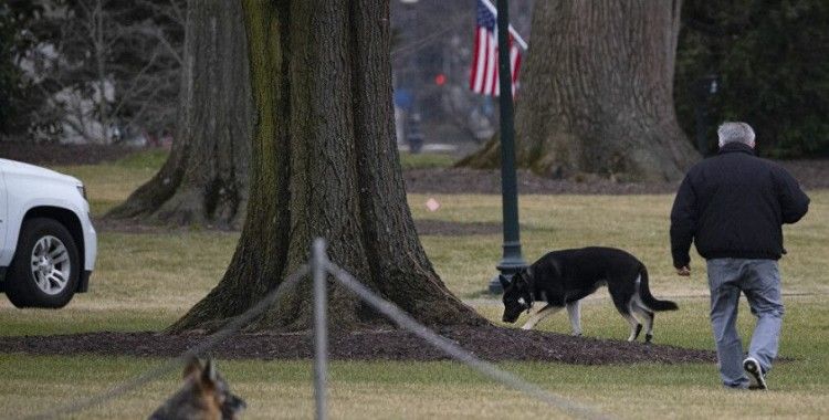 ABD Başkanı Biden'ın köpekleri Beyaz Saray'a veda ediyor
