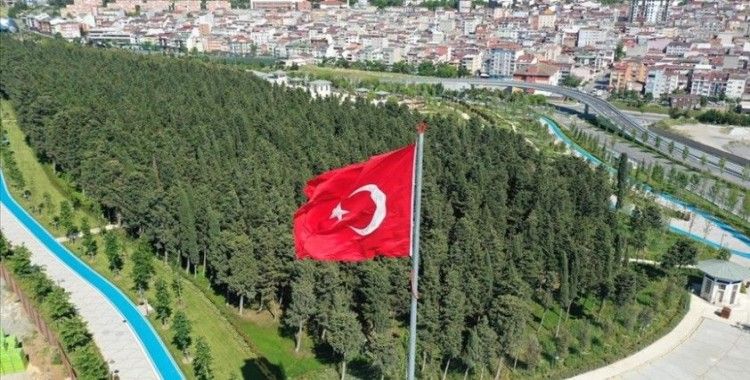 Eğitim, iş, tedavi ve turistik amaçlı Türkiye'yi tercih eden Çadlı sayısı giderek artıyor