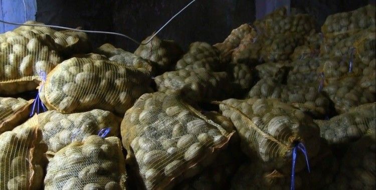 Toprak Mahsulleri Ofisi, patates alımını sürdürüyor, çiftçiler durumdan memnun