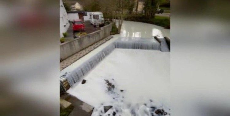 Galler'de süt tankeri nehre devrildi: Su yerine süt aktı