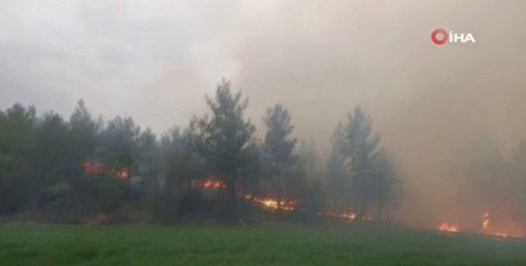 Muğla'daki orman yangınlarını söndürme çalışmaları sürüyor