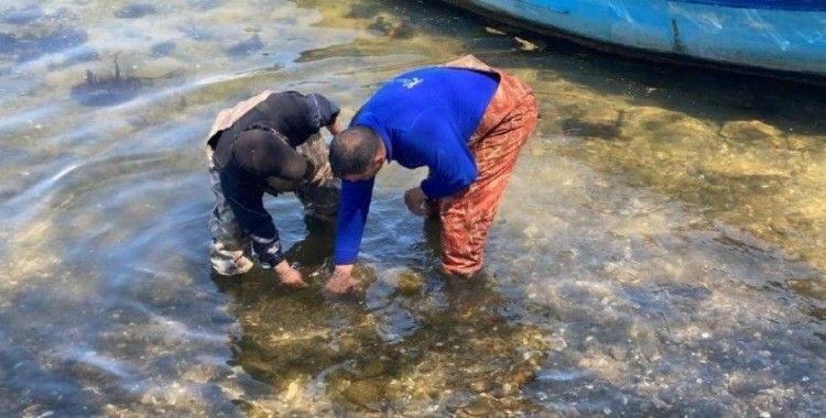 Bursa’da balıkçıların ağına tarihi eser takıldı