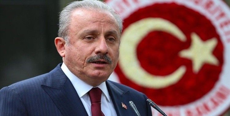 Şentop: Tarihi ve bugünü ırkçılık, soykırım suçlarıyla sabıkalı olanlar Türkiye hakkında daha dikkatli konuşmalı
