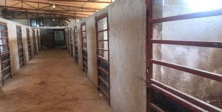 Hatay'da kaybolan 99 atla ilgili Adana'da bir ahırda arama yapıldı
