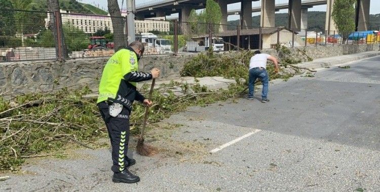 İstanbul'da ağaçlar yola devrildi, polis temizledi