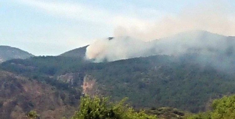 Ortaca'da orman yangınında 1 hektar yandı