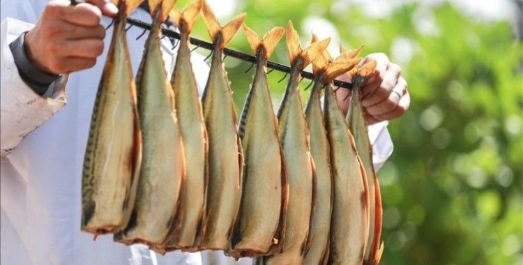 Tütsülenmiş Ringa balığı Gazze'de bayram sofralarını süslemeye hazırlanıyor
