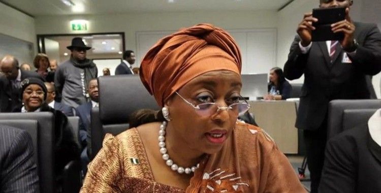 Nijerya'da eski bakanın 153 milyon doları ve 80 evine el konuldu