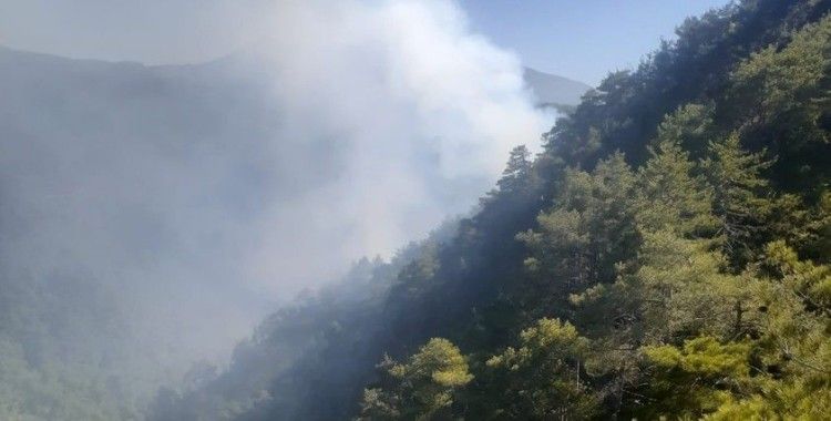 Amanos Dağları’ndaki yangın kontrol altına alındı