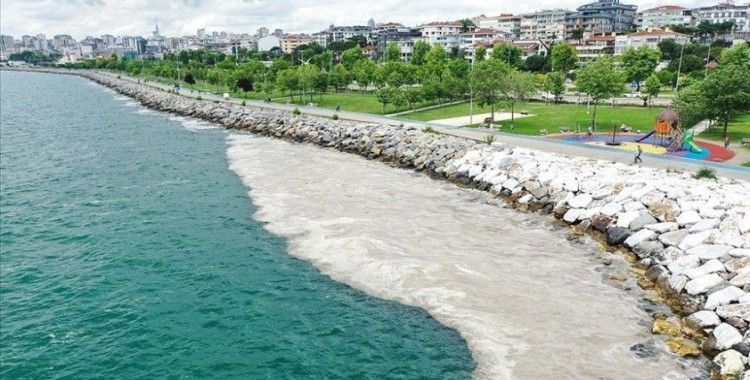 Deniz salyası Anadolu Yakası'nda bazı bölgelerde görülmeye devam ediyor