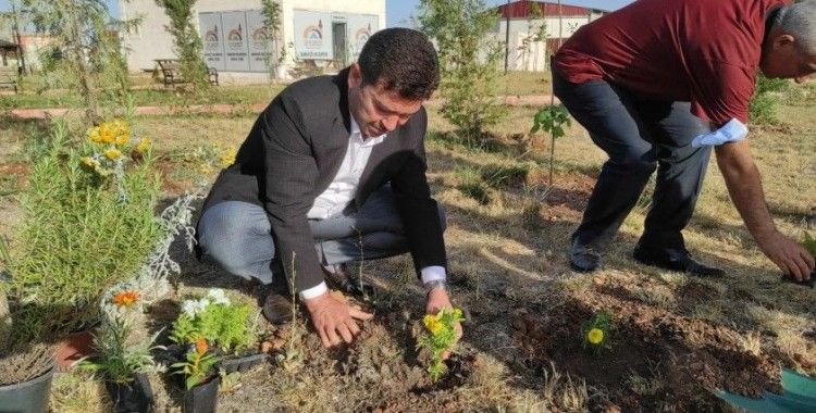 Dargeçit Belediye Başkanı Aksoy fidan dikim çalışmalarını yerinde inceledi