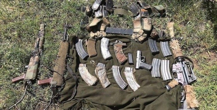 Bitlis'te etkisiz hale getirilen 3 PKK'lı teröristten birinin gri kategoride arandığı belirlendi