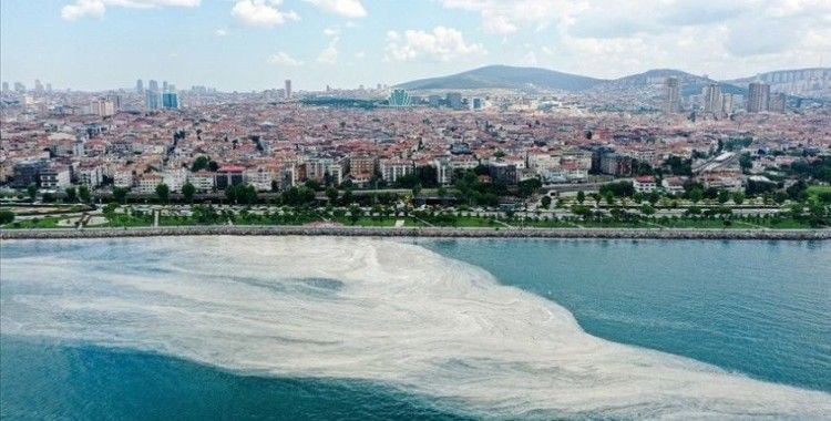 Marmara Denizi'ndeki müsilaj sorununa acil çözüm için bilim insanları YÖK'te toplanacak