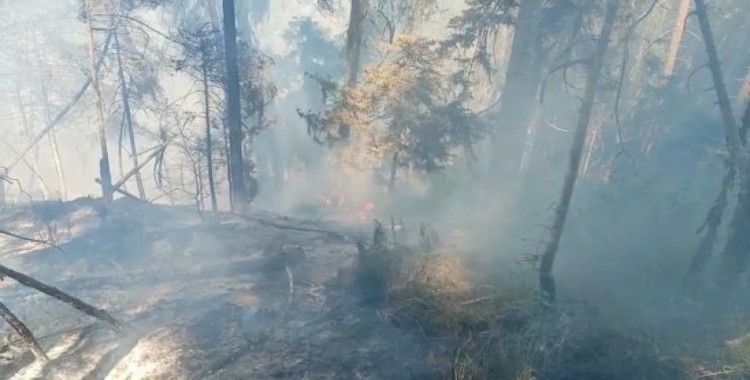 Artvin'de korkutan orman yangını