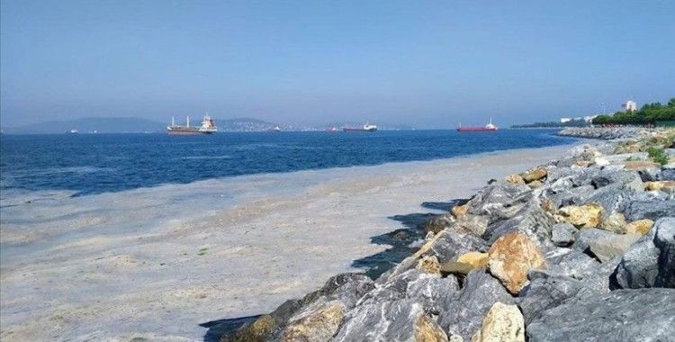 Marmara Denizi'nin müsilajdan kurtarılması için 'acil eylem planı'nın uygulanması önemli