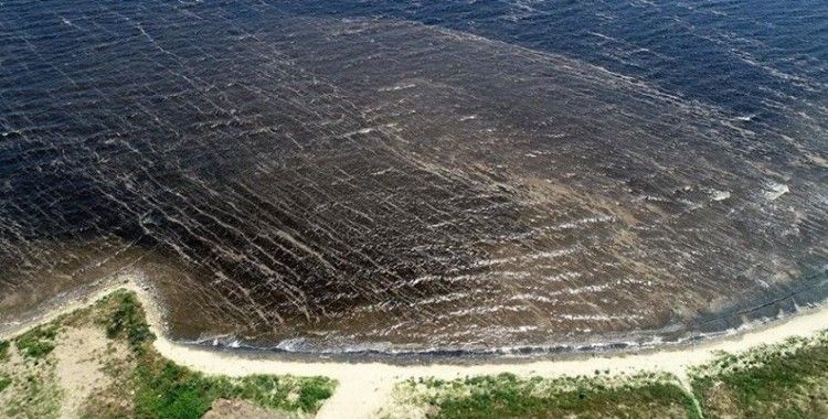 Kirlilik, Bandırma sahillerinin kumunu siyaha boyadı: 'Denize girmek intihar gibi'
