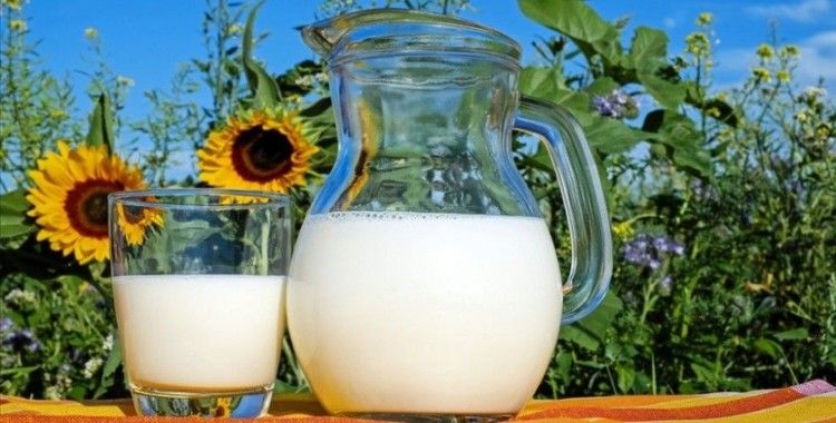 Süt ve süt ürünlerindeki ihracat bu yıl Çin etkisiyle arttı