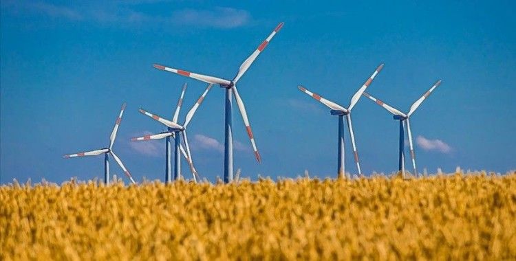 Rüzgar, yükselen kapasitesiyle yenilenebilir enerjide payını artırıyor