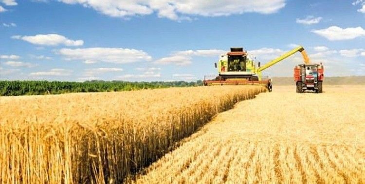 Tarım-ÜFE aylık yüzde 0,43 azaldı