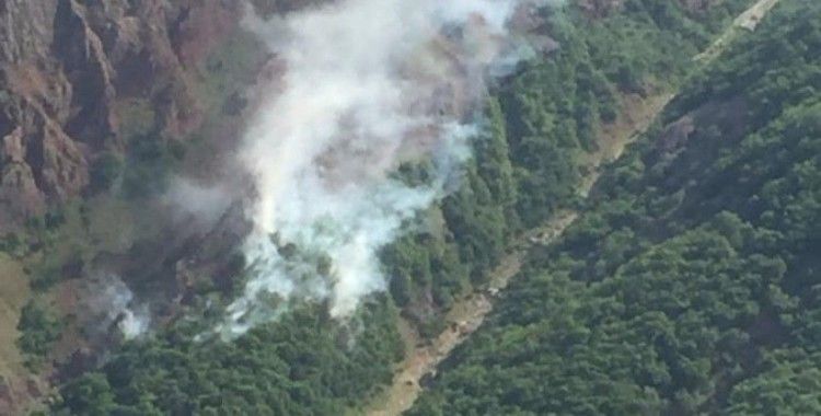 Tunceli'de ormanlık alanlardaki yangınlar söndürüldü