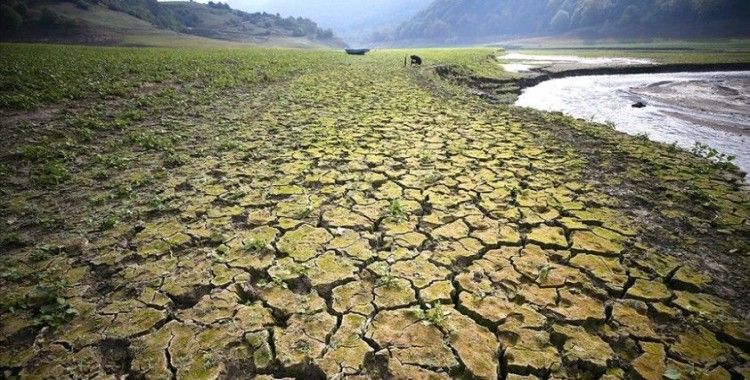 Her yıl çölleşme ve kuraklık nedeniyle 12 milyon hektar arazi kaybediliyor