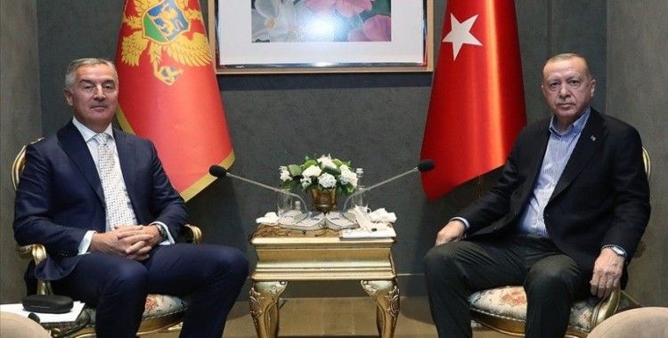 Cumhurbaşkanı Erdoğan, Karadağ Cumhurbaşkanı Cukanoviç'le görüştü