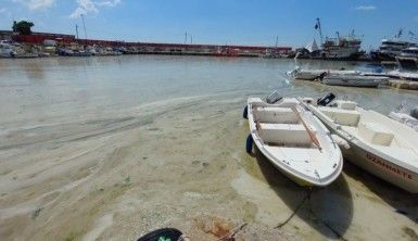 Bu görüntüler Tekirdağ'dan, denizde salya çölü