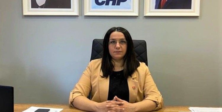 CHP Kastamonu Merkez İlçe Başkanı Dilek İlke Karabacak'tan AK Parti'ye sert tepki