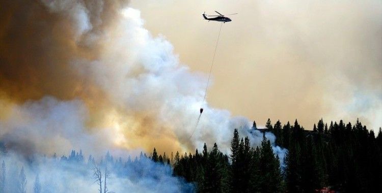 ABD'nin California eyaletinde orman yangınları sürüyor