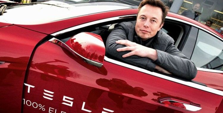 Tesla araçlarını fareler yiyor: 'Garanti ya da onarım kapsamında değil'