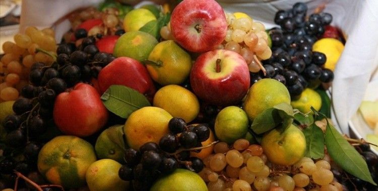 Türkiye'nin yaş meyve sebze ihracatında artış eğilimi sürüyor