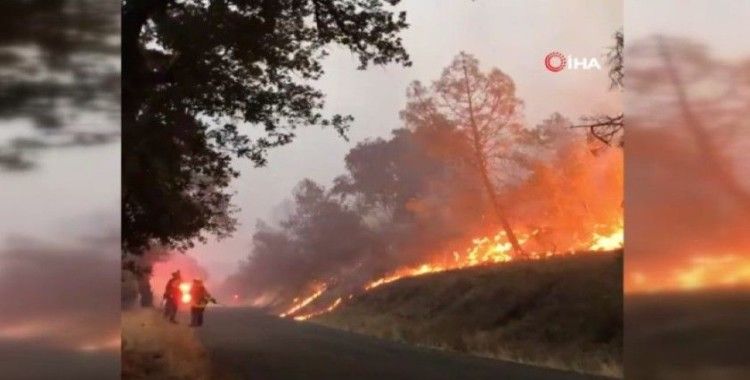 ABD’nin California eyaletindeki orman yangını günlerdir sürüyor