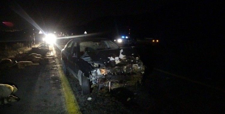 Kayseri’de sürüye dalan otomobilin sürücüsü yaralandı, 13 koyun telef oldu