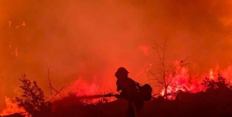 Kaliforniya’da orman yangını evleri küle çevirdi