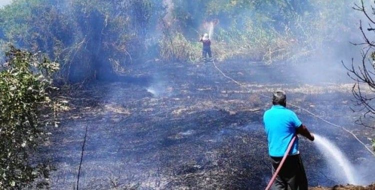 Karacasu'daki arazi yangını kontrol altına alındı
