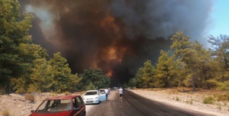 Tarım ve Orman Bakanı Pakdemirli, Antalya'daki yangın bölgesine geliyor