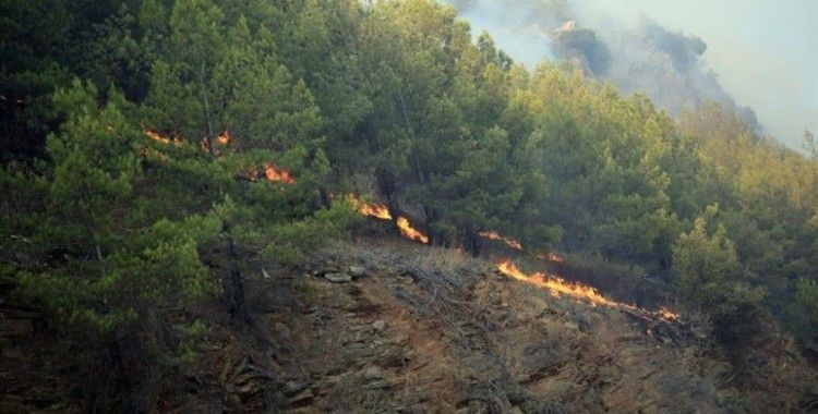 Mersin'de iki ilçede çıkan orman yangını nedeniyle bazı evler tedbiren boşaltıldı