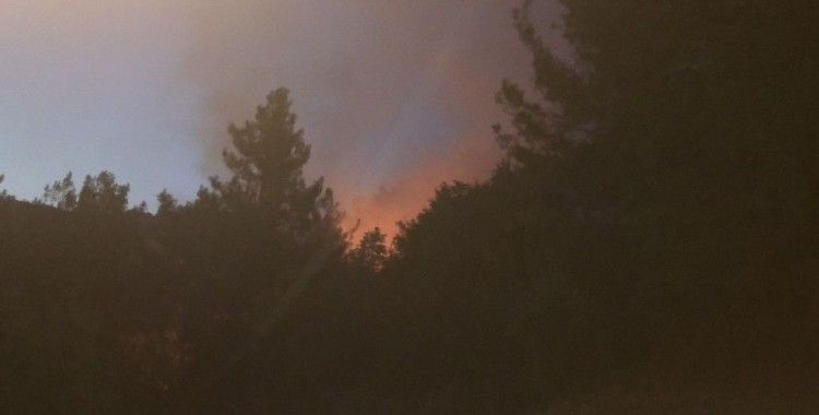 Kozan’ın Kızlarsekisi bölgesinde orman yangını