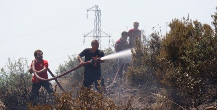 Kocaeli'deki orman yangını 1 buçuk saatte kontrol altına alındı